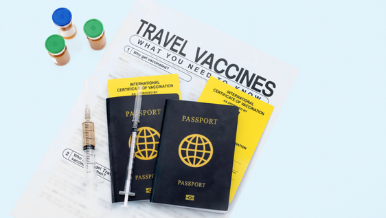 travel clinic, travel health advice, travel vaccines, vaccinations for travelling abroad, malaria prevention, travel clinic malvern travel clinic hereford